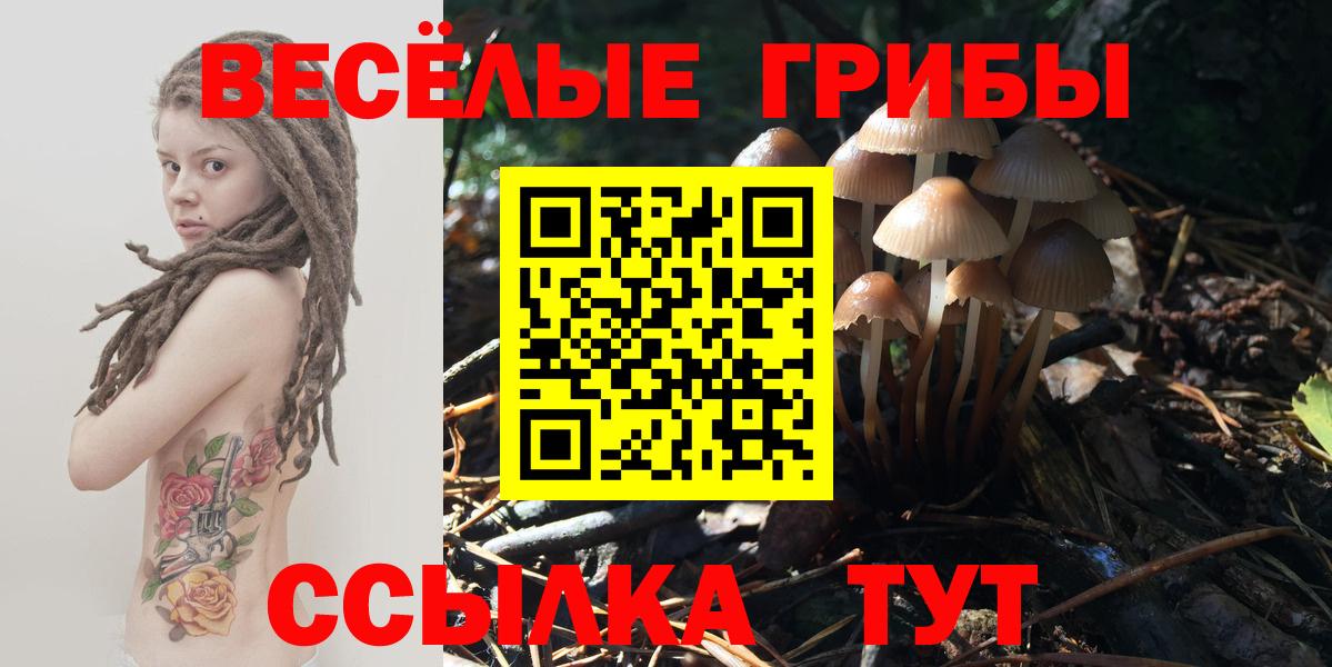 Псилоцибиновые грибы Cubensis Рубцовск
