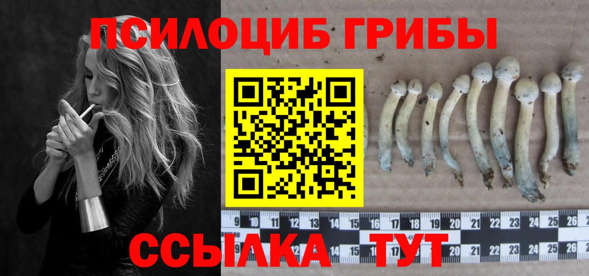 Галлюциногенные грибы Psilocybine cubensis  Галлюциногенные грибы Psilocybe  Рубцовск  Вход с VPN 